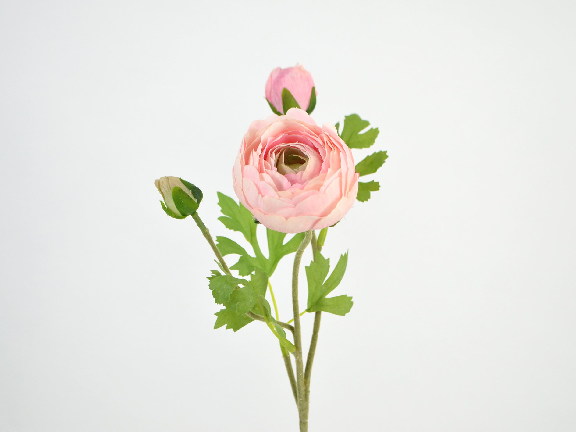 DEKO FLORALE Kunstig Ranunkel 50 Cm Rosa Kunstige Planter