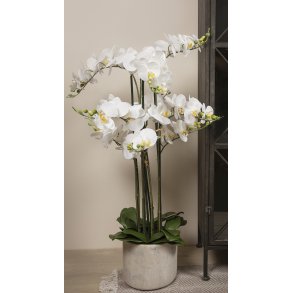 La Vida, Kunstig orkide, 9 stilke, hvid, gr keramikpotte
