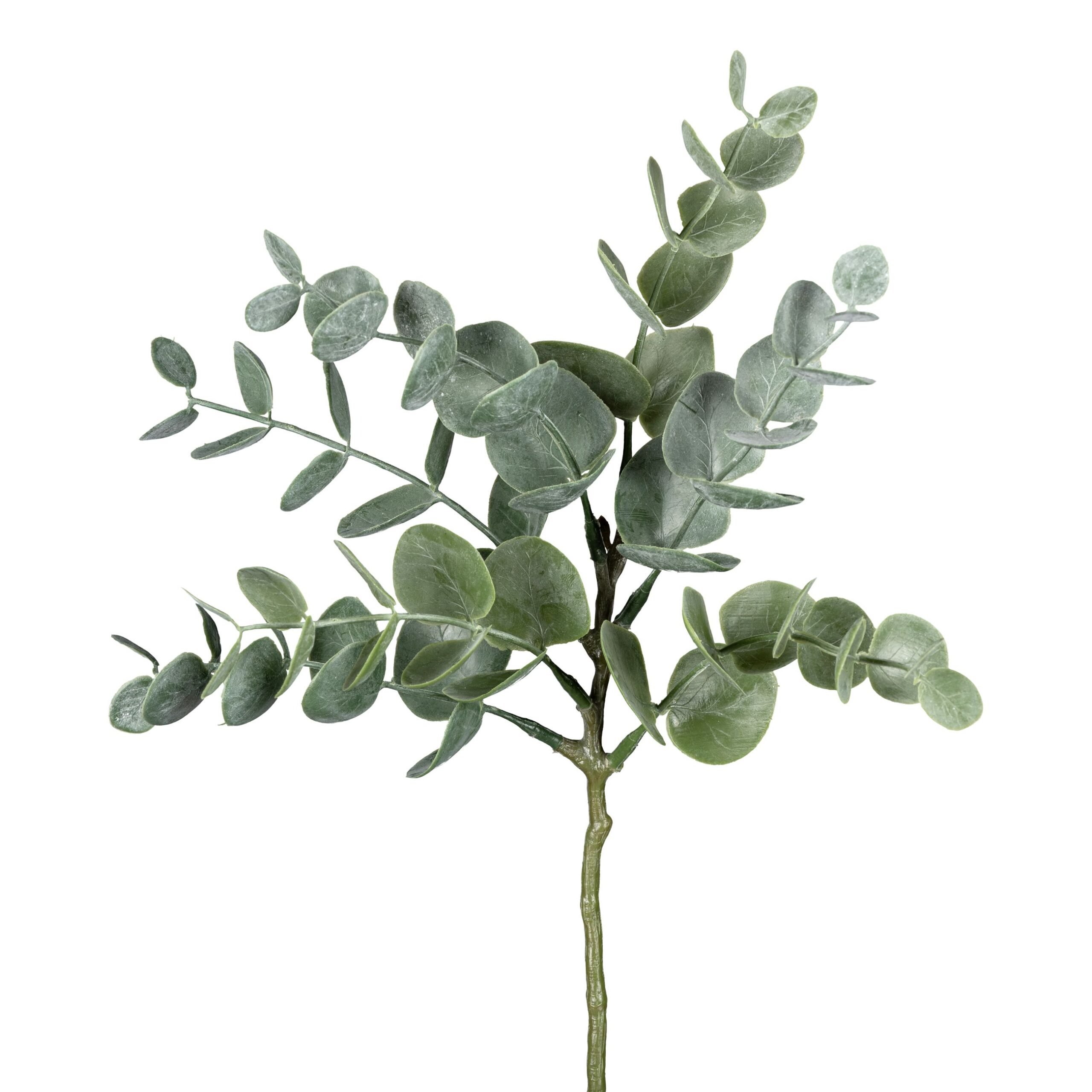 Barbara, Kunstig eucalyptus stvet, 25 cm