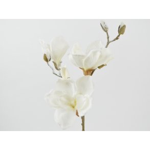 DEKO FLORALE, Magnolia dkket med sne, 50cm, cream