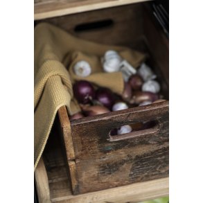 Ib Laursen, Trkasse Unika