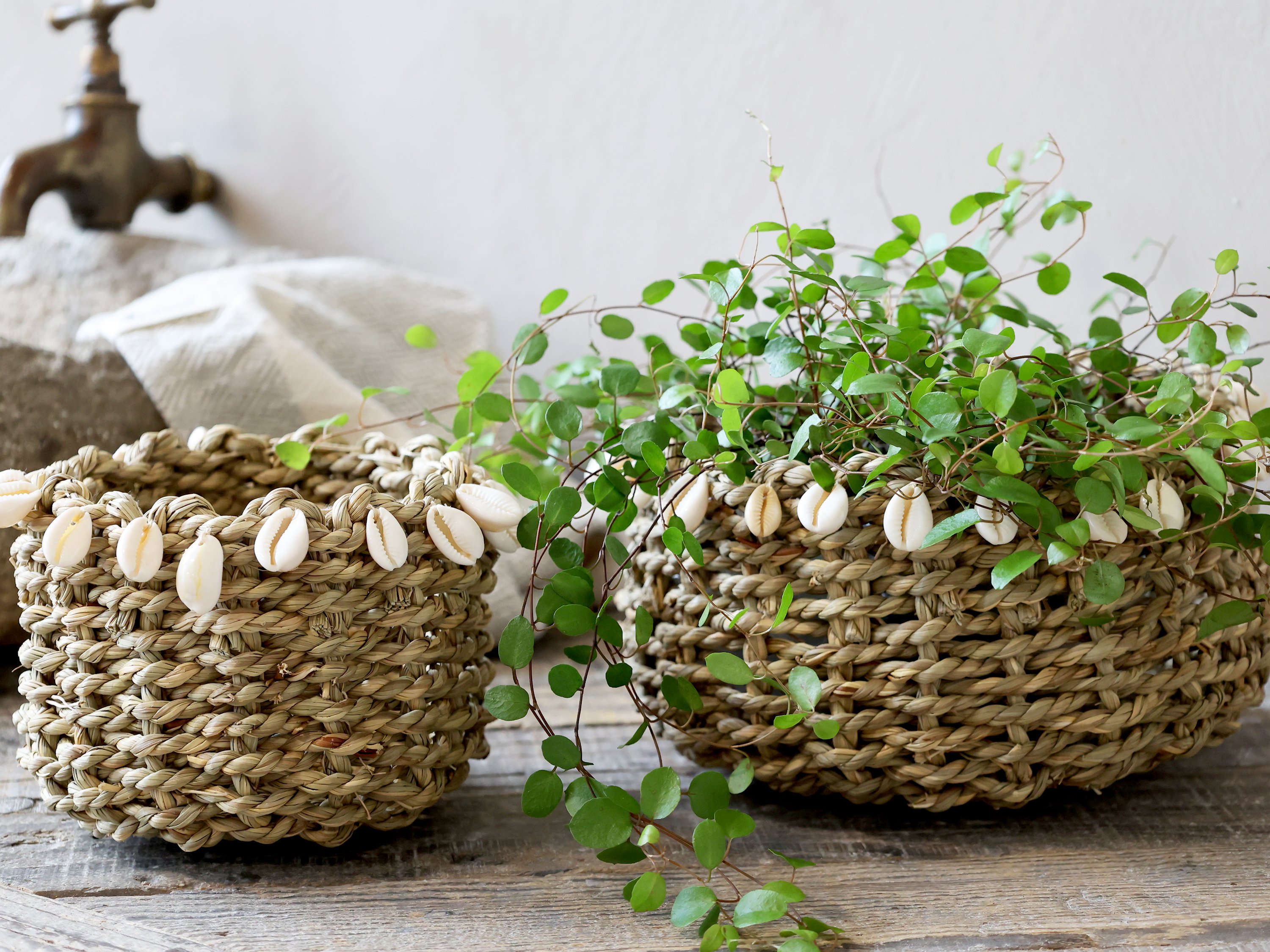 Chic Antique, Kurv i flet med muslingeskaller