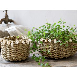 Chic Antique, Kurv i flet med muslingeskaller