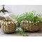 Chic Antique, Kurv i flet med muslingeskaller
