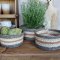 Chic Antique, Kurv med striber