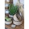 Chic Antique, Kurv med striber
