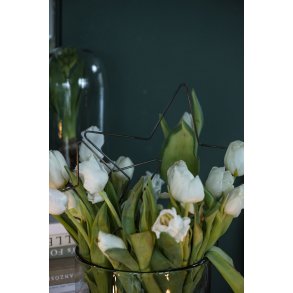 Ib Laursen, Stjerne med dobbeltspyd