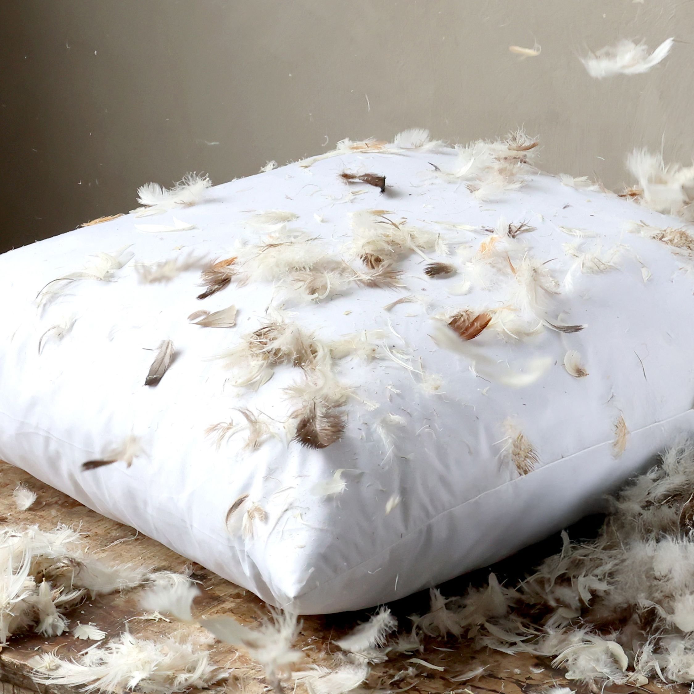 Chic Antique, Monteringspude med andefjer og -dun 1150 g., (L62/B62 cm)