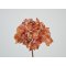 DEKO FLORALE, Kunstig hortensia, 40 cm, rust
