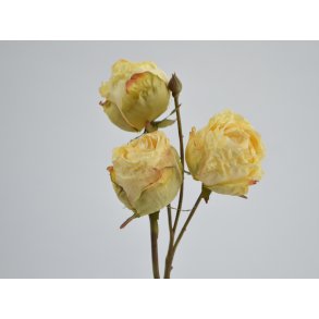 DEKO FLORALE, Tr rosengren med 3 roser, 76cm, creme