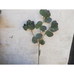 DEKO FLORALE, Kunstige eucalyptus gren, 59 cm