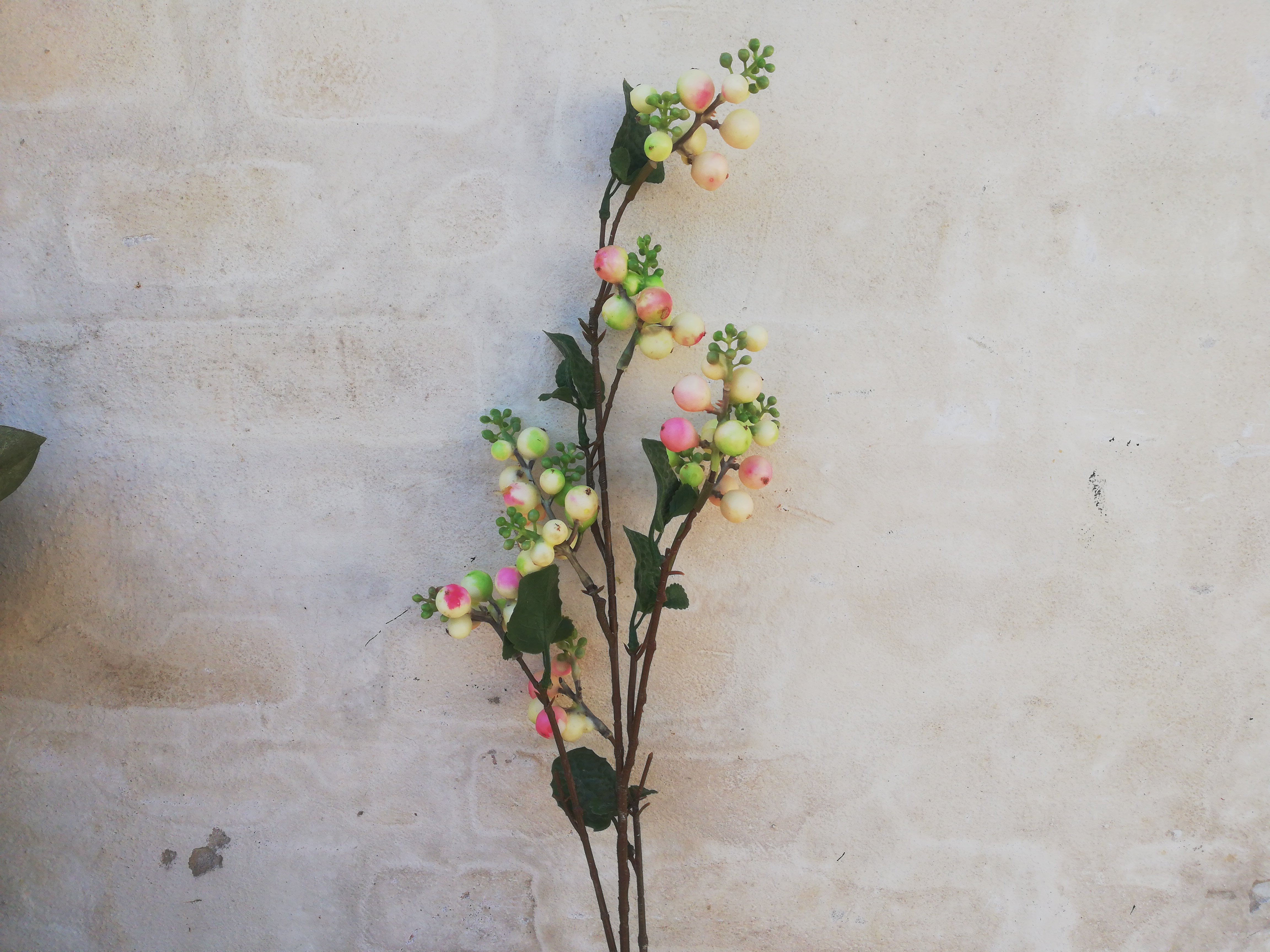 DEKO FLORALE, Snebrgren, 73 cm, hvid/lyserd