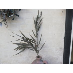 DEKO FLORALE, Eucalyptus tereticornis, grn/gr, 87cm, 