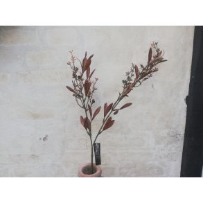 DEKO FLORALE, Gren med blade, lilla, 79cm