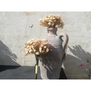 DEKO FLORALE, Gypso, buket med 10 stilke, 29 cm, beige