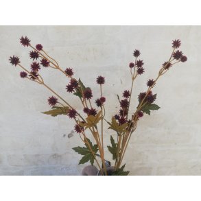 DEKO FLORALE, Gren med blomster, Sanicula, 68 cm, bordeaux