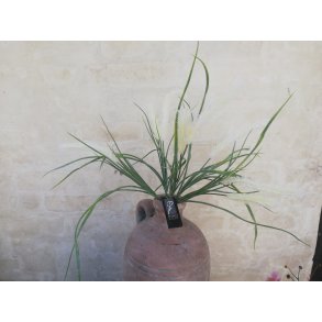 DEKO FLORALE, Kunstigt grs, 42cm, creme