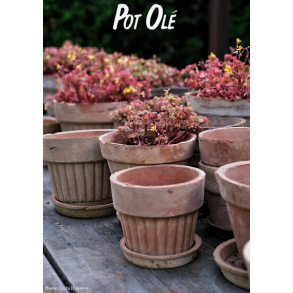 POT OL�, Potte, New Generation Retro