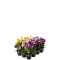Mr Plant, Kunstig blomst mix, H15 cm