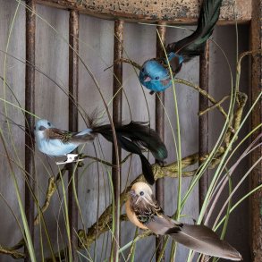 Speedtsberg, Fugl med clips, 12cm.,