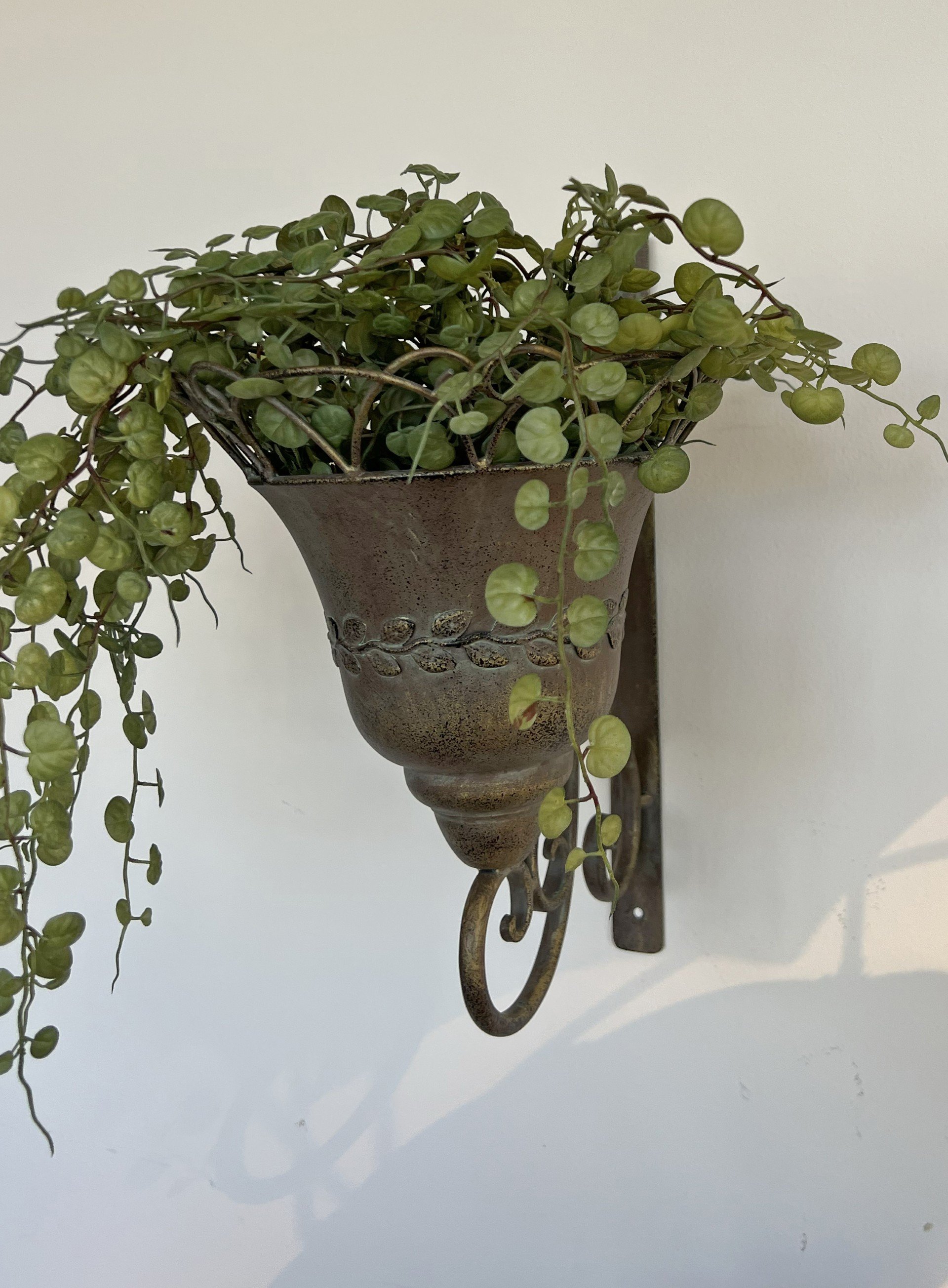 La Vida, Potte, v�gh�ngt