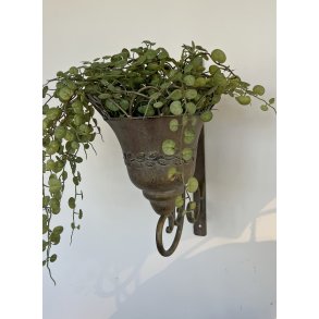 La Vida, Potte, v�gh�ngt