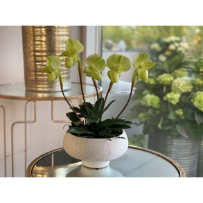 La Vida, Kunstig fruesko, orkid i hvid keramikpotte