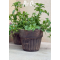 POT OL�, New Generation Retro Brown inkl. undersk�l 