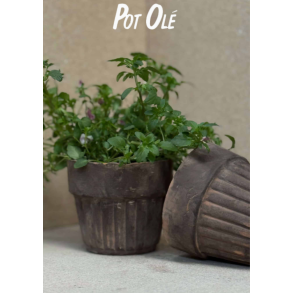 POT OL�, New Generation Retro Brown inkl. undersk�l 