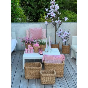 La Vida, Kurv af sgrs, firkantet