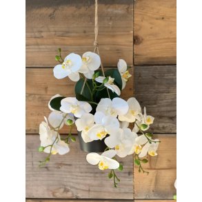La Vida, Kunstig hngende orkid, 8 stilke, hvid