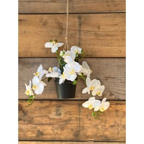 La Vida, Kunstig hngende orkid, 6 stilke, hvid