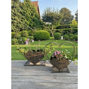 La Vida, Skjuler, Hjerteskjuler