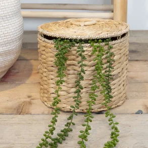 La Vida, Kurv med lg, sgrs