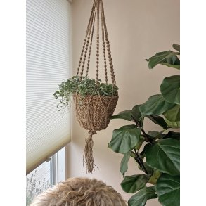 La Vida, Sgrskurv til ophng