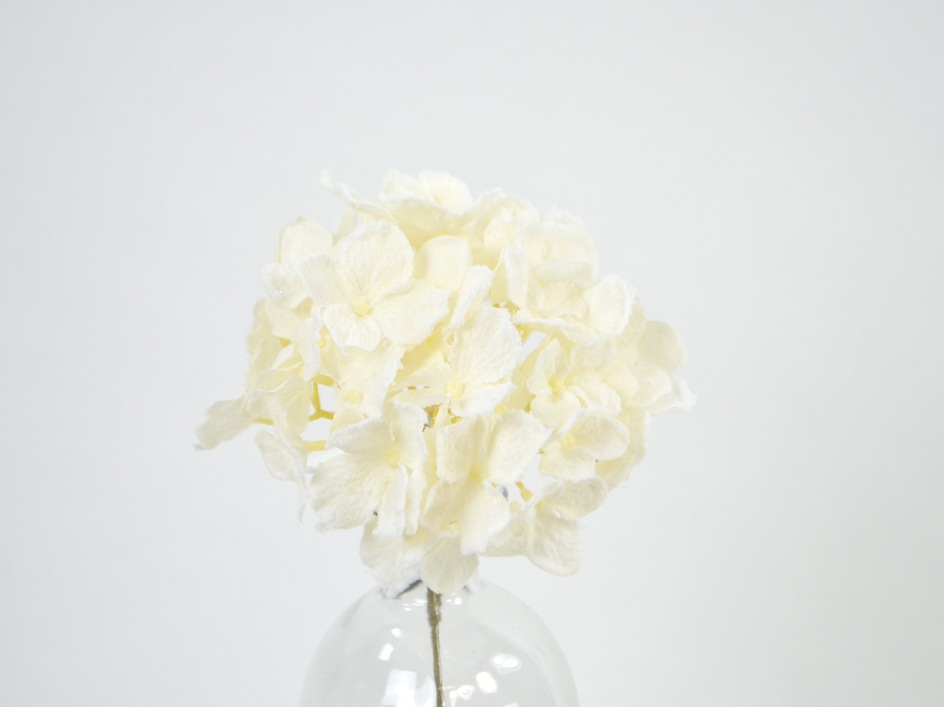 DEKO FLORALE, Kunstig hortensia med sne, 23 cm, creme