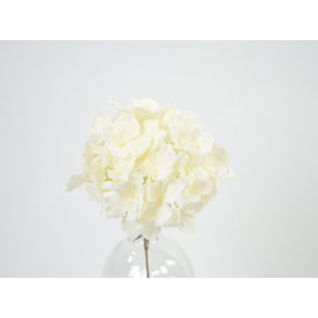 DEKO FLORALE, Kunstig hortensia med sne, 23 cm, creme