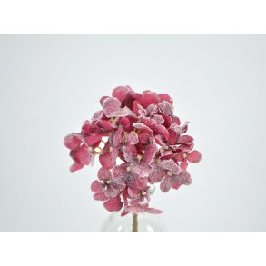 DEKO FLORALE, Kunstig hortensia med sne, 23 cm, rd