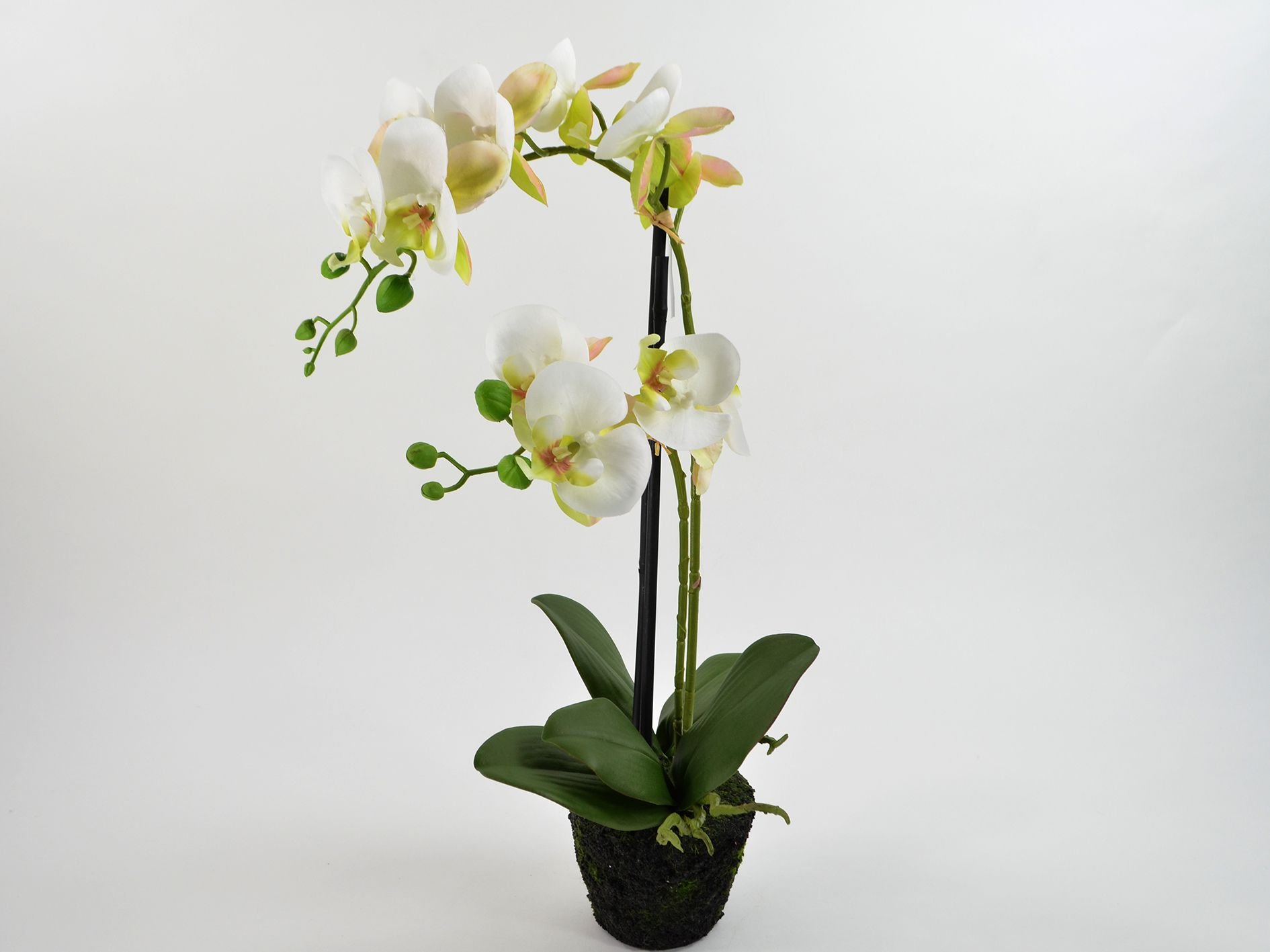 DEKO FLORALE, Kunstig orkid, 48 cm.