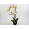 DEKO FLORALE, Kunstig orkid, 48 cm.