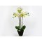 DEKO FLORALE, Kunstig orkid, 63 cm.