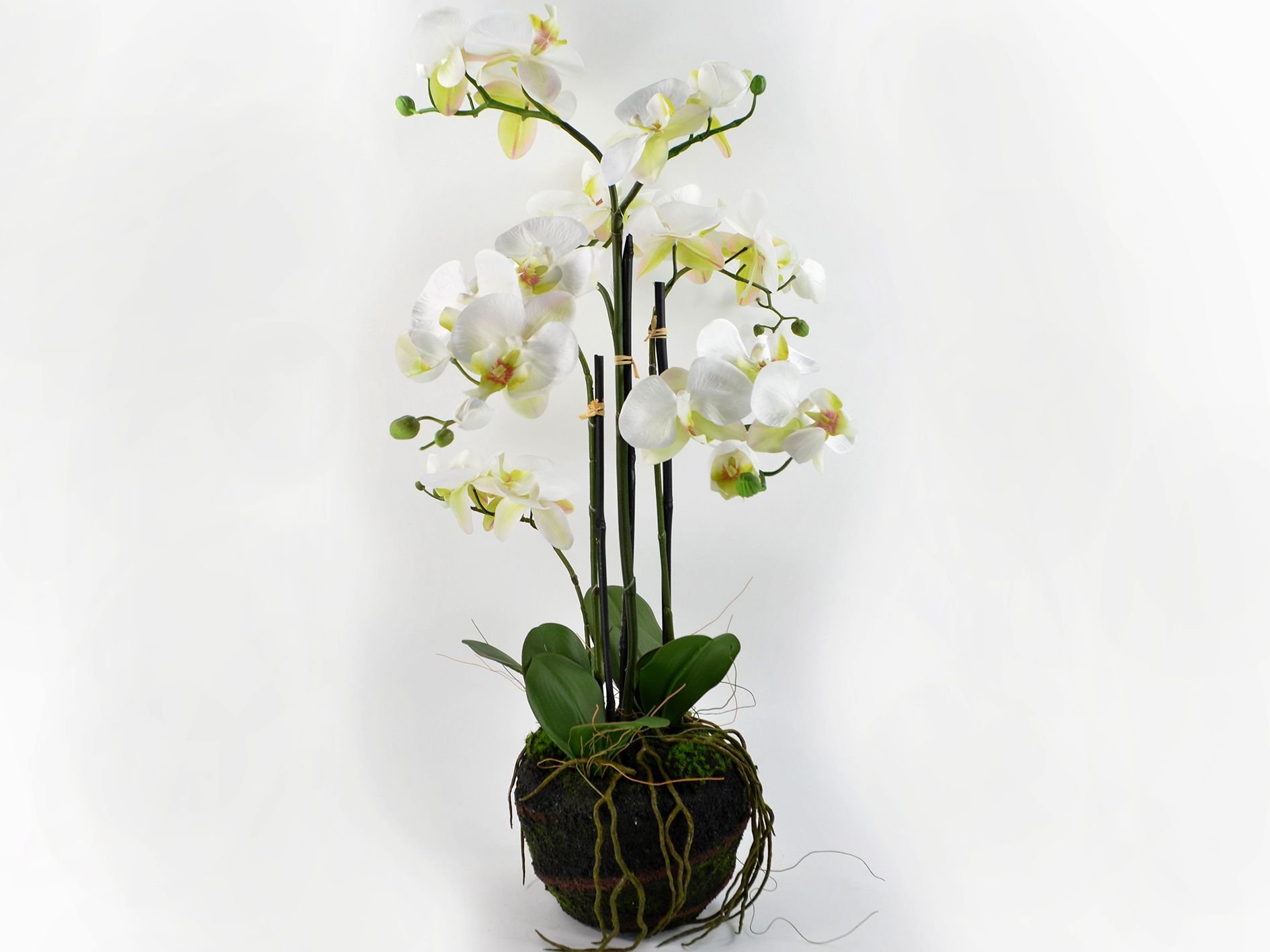 DEKO FLORALE, Kunstig orkid, 78 cm.