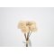 DEKO FLORALE, Dahlia, 7 stilke, 30 cm, beige