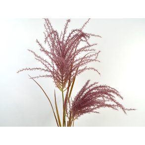 DEKO FLORALE, Pampas grsgren med to str, 135cm, lilla