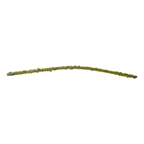 Speedtsberg, Moss gren b�jelig 102cm