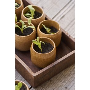 Ib Laursen Tr�kasse, UNIKA