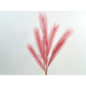 DEKO FLORALE, Pampas grsgren, 70 cm, lyserd