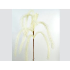 DEKO FLORALE, Pampas hngegrs, 139cm, creme