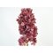 DEKO FLORALE, Kunstig hortensia, 91 cm, Bordeaux