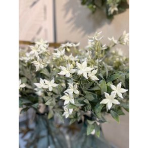 DEKO FLORALE, Jasmin blomst, 25 cm, Cream